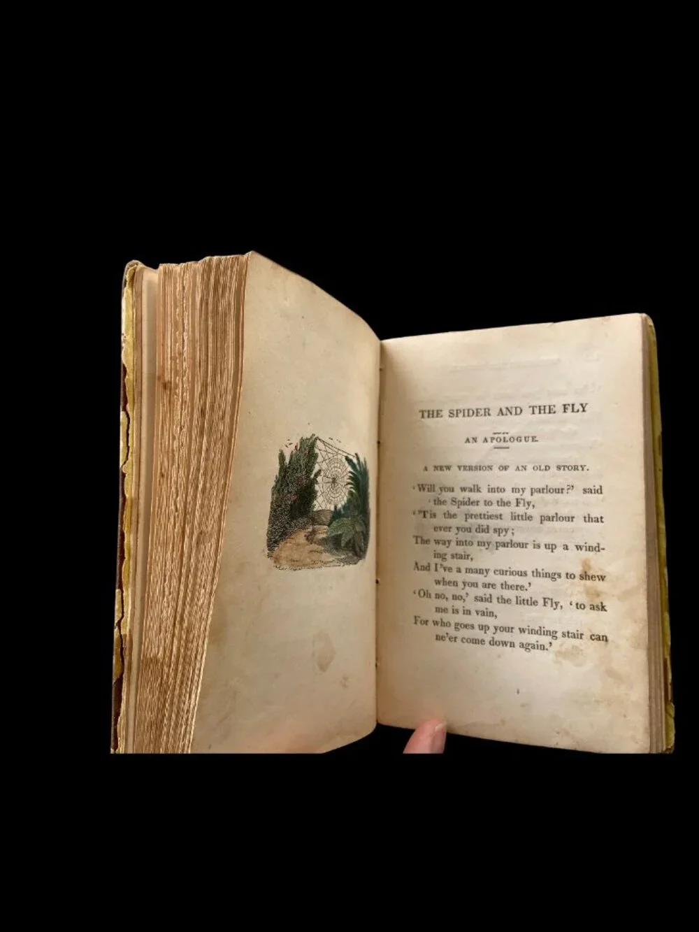 Antique 1847 Mary Howitt Sketches of Natural History Victorian Illustrated Book